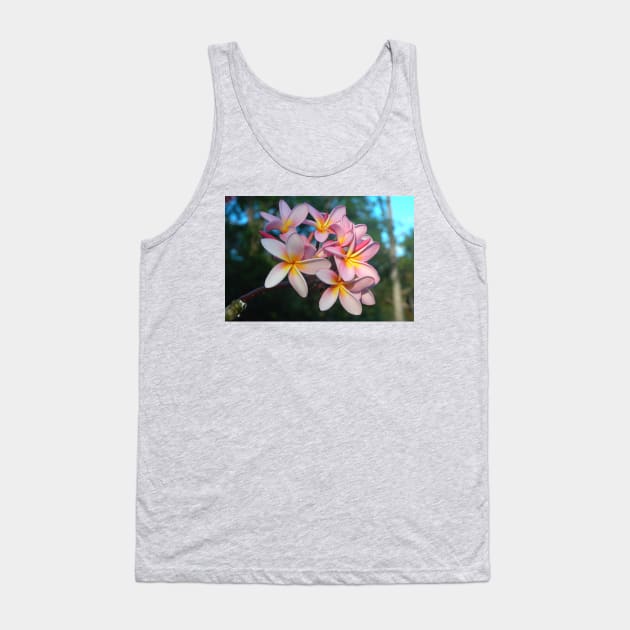 Beautiful Tropical Pink Frangipani Flowers Tank Top by oknoki